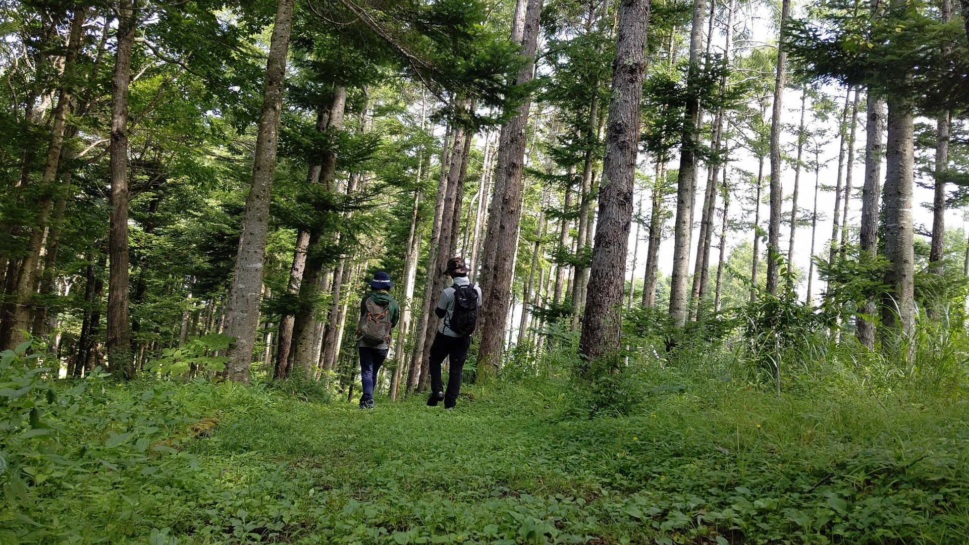 2023年3月から9月までのイベント