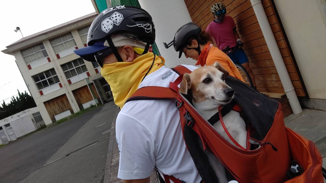 ジャックラッセルテリア オフ会 します。