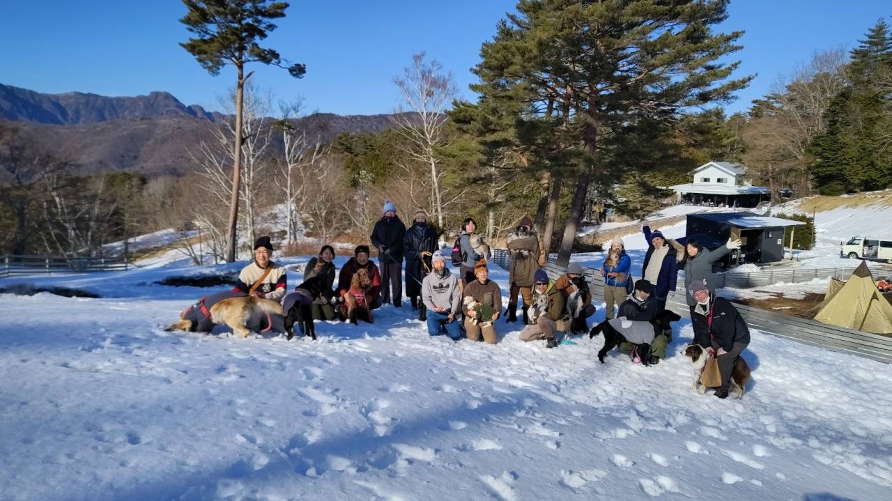 虎徹と遊んでください